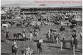 Albury Showgrounds Young St