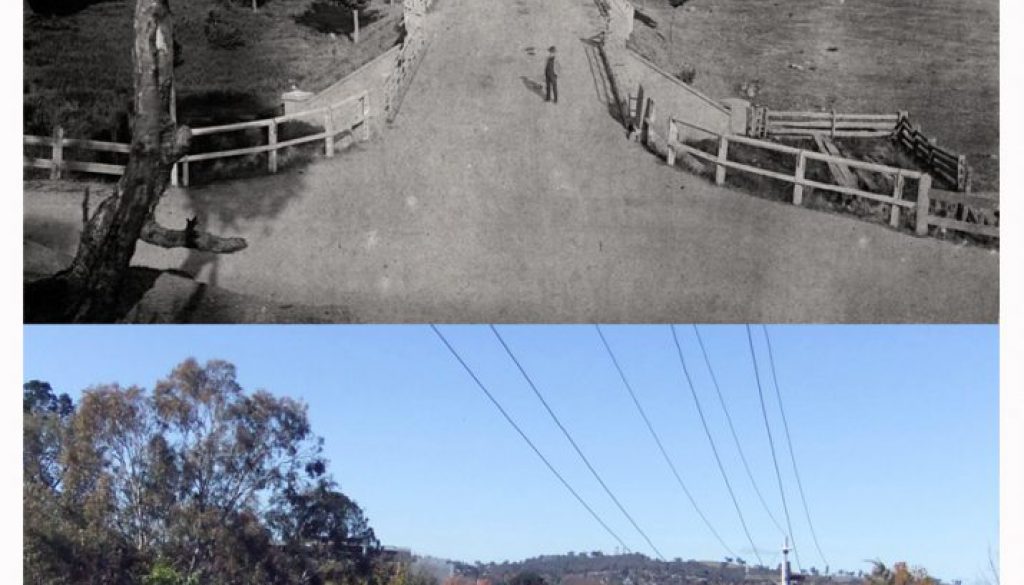 Smollett St Albury looking east-1891