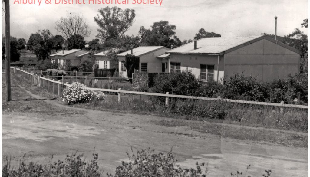 Walnut shells houses, Alma St Albury